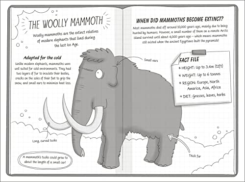 The Secret Explorers and the Ice Age Adventure - Retail Maharaj