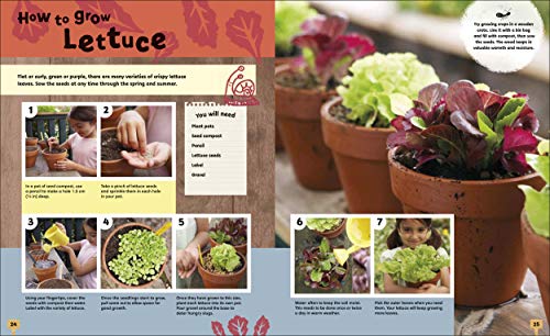 RHS Let's Get Gardening - Retail Maharaj