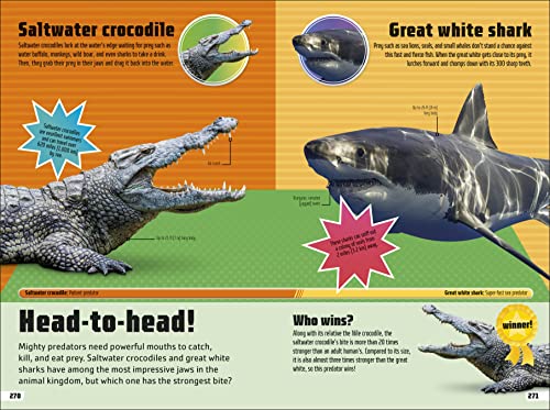 Animal Ultimate Handbook: The Need-to-Know Facts and Stats on More Than 200 Animals - Retail Maharaj