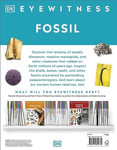 Fossil (Eyewitness) (DK Eyewitness) - Retail Maharaj