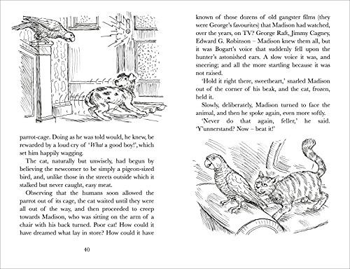 Harry's Mad - Retail Maharaj