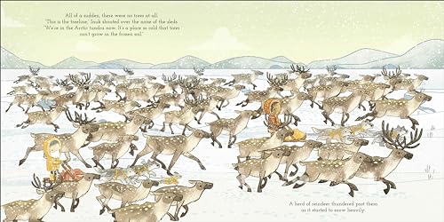 Adventures with Finn and Skip: Arctic - Retail Maharaj