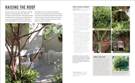 Grow Shade Garden: Essential Know-how and Expert Advice for Gardening Success - Retail Maharaj