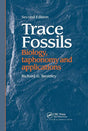 Trace Fossils - Retail Maharaj