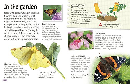 Butterflies and Moths: Explore Nature with Fun Facts and Activities (Nature Explorers) - Retail Maharaj