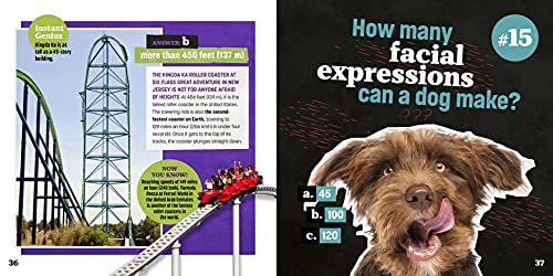 Totally Random Questions Volume 2: 101 Odd and Awesome Q&As