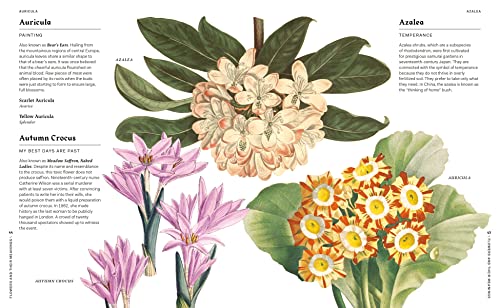 Flowers and Their Meanings: The Secret Language and History of Over 600 Blooms (A Flower Dictionary) - Retail Maharaj