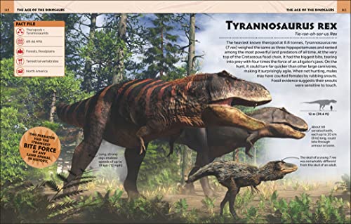 Extraordinary Dinosaurs and Other Prehistoric Life Visual Encyclopedia - Retail Maharaj