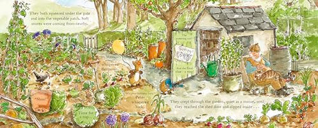 Peter Rabbit: The Birthday Present Hunt - Retail Maharaj