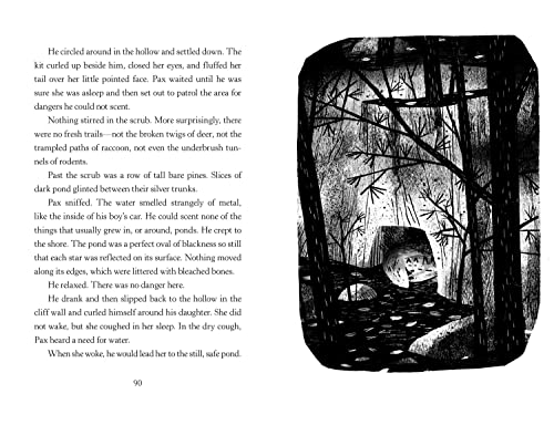 Pax, Journey Home - Retail Maharaj