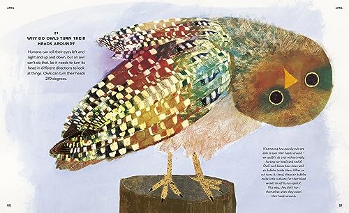 Everything Under the Sun: a curious question for every day of the year - Retail Maharaj