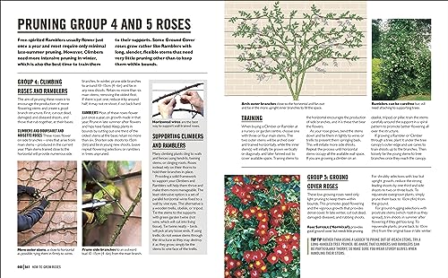 Grow Roses: Essential Know-how and Expert Advice for Gardening Success - Retail Maharaj