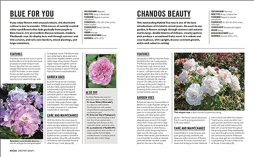 Grow Roses: Essential Know-how and Expert Advice for Gardening Success - Retail Maharaj