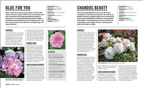 Grow Roses: Essential Know-how and Expert Advice for Gardening Success - Retail Maharaj