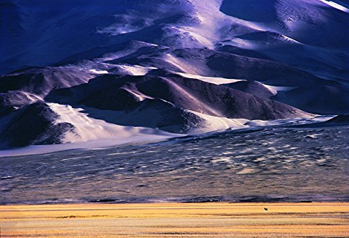 Nicholas Roerich / Ashok Dilwali: Inspired by The Himalayas - Retail Maharaj