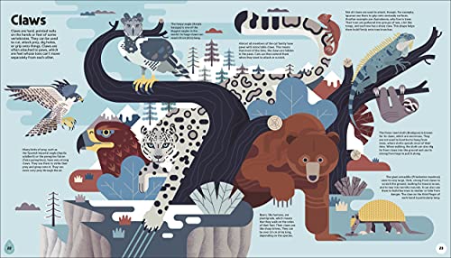 Evolved: An Illustrated Guide to Evolution - Retail Maharaj