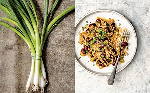 Vegetable Kingdom: The Abundant World of Vegan Recipes: A Vegan Cookbook