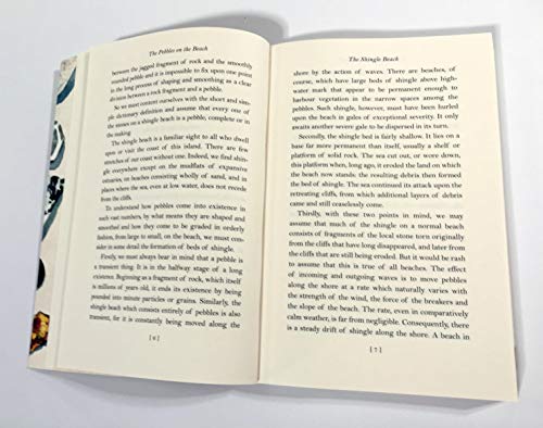 The Pebbles on the Beach