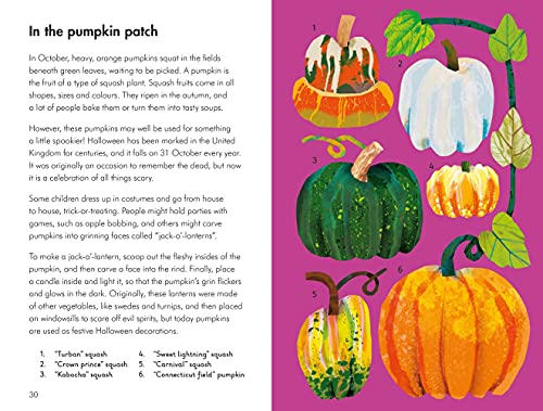 What to Look For in Every Season: A Ladybird Book Boxset - Retail Maharaj