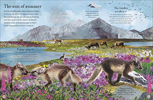 Through the Animal Kingdom: Discover Amazing Animals and Their Remarkable Homes (Journey Through) - Retail Maharaj