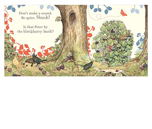 Where is Peter Rabbit? - Retail Maharaj