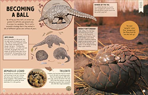 How Not to Get Eaten: More than 75 Incredible Animal Defenses (Wonders of Wildlife) - Retail Maharaj