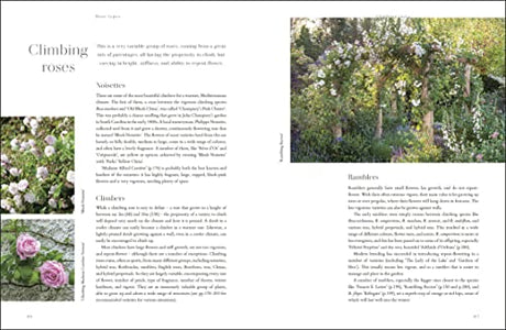 RHS Roses: An Inspirational Guide to Choosing and Growing the Best Roses - Retail Maharaj