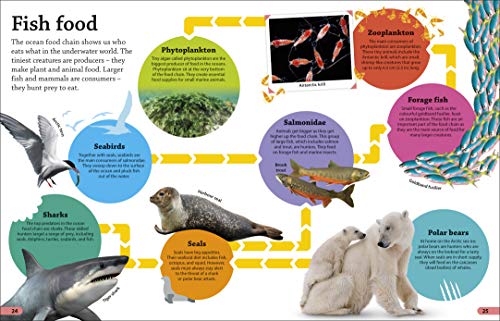 DKfindout! Oceans - Retail Maharaj