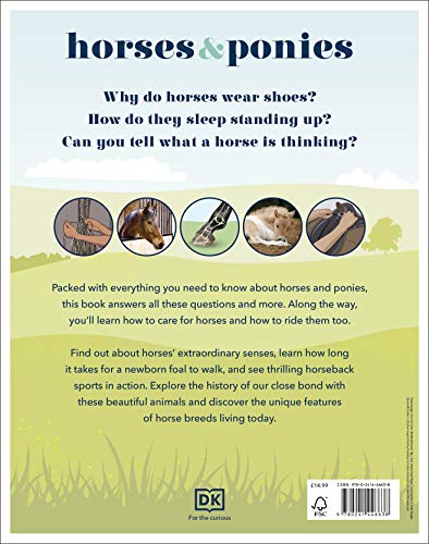 Horses & Ponies: Everything You Need to Know, From Bridles and Breeds to Jodhpurs and Jumping! - Retail Maharaj