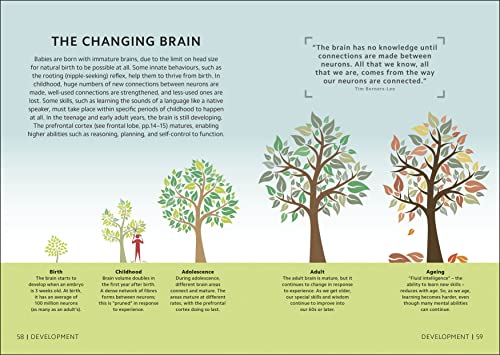 Simply The Brain (DK Simply) - Retail Maharaj