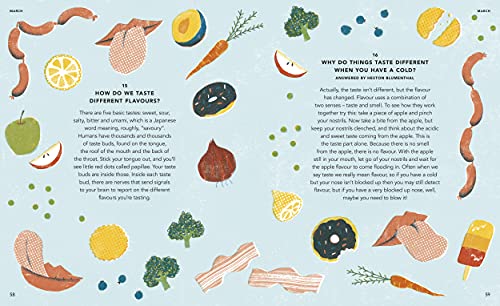 Everything Under the Sun: a curious question for every day of the year - Retail Maharaj