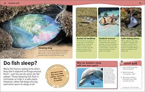 How Deep is the Ocean?: With 200 Amazing Questions About The Ocean (Why? Series) - Retail Maharaj