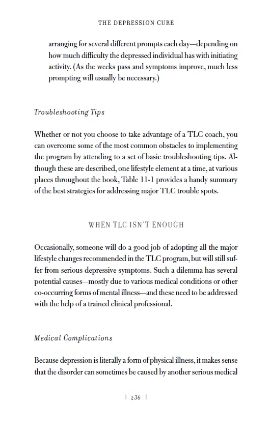 The Depression Cure: The Six-Step Programme to Beat Depression Without Drugs - Retail Maharaj