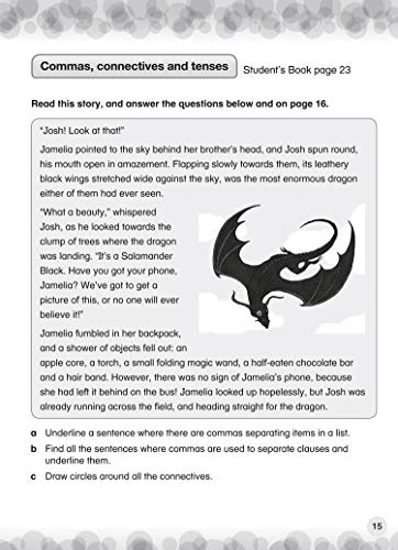 International Primary English Workbook: Stage 4 (Collins International Primary English) - Retail Maharaj