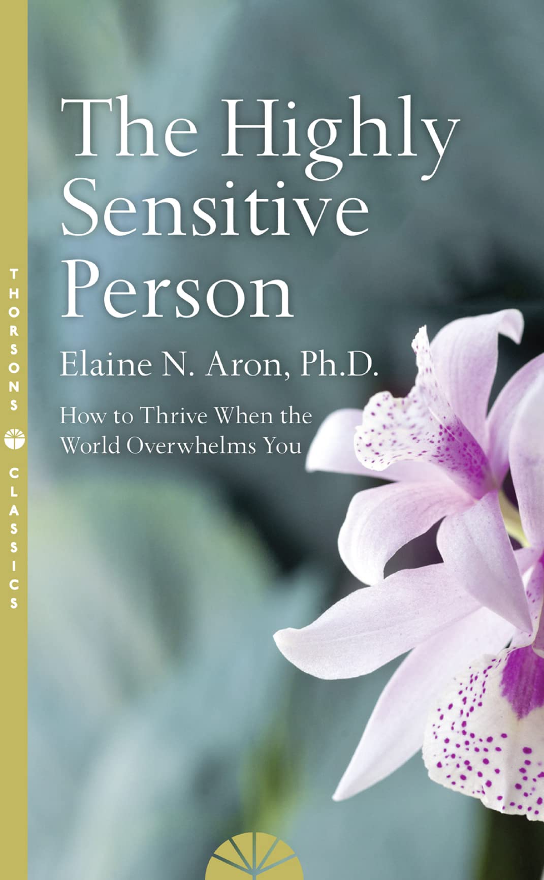 The Highly Sensitive Person: How to Surivive and Thrive When the World Overwhelms You - Retail Maharaj