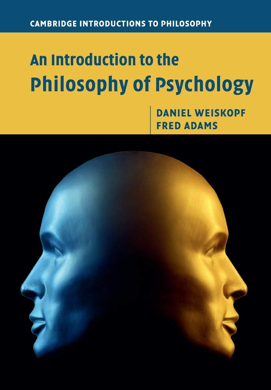 An Introduction to the Philosophy of Psychology (Cambridge Introductions to Philosophy)