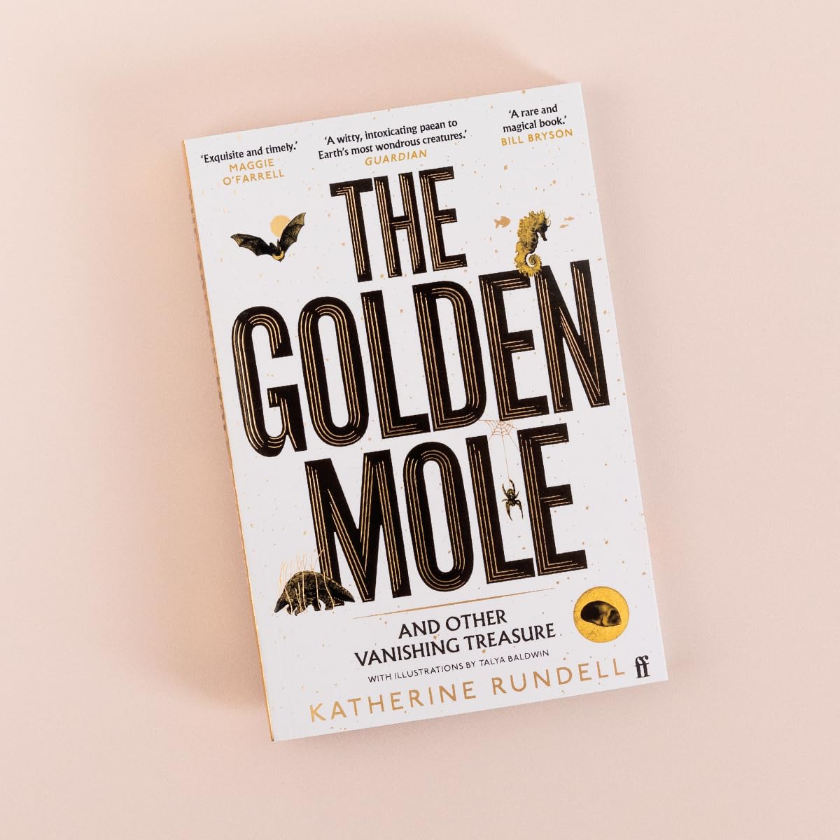 The Golden Mole: and Other Vanishing Treasure