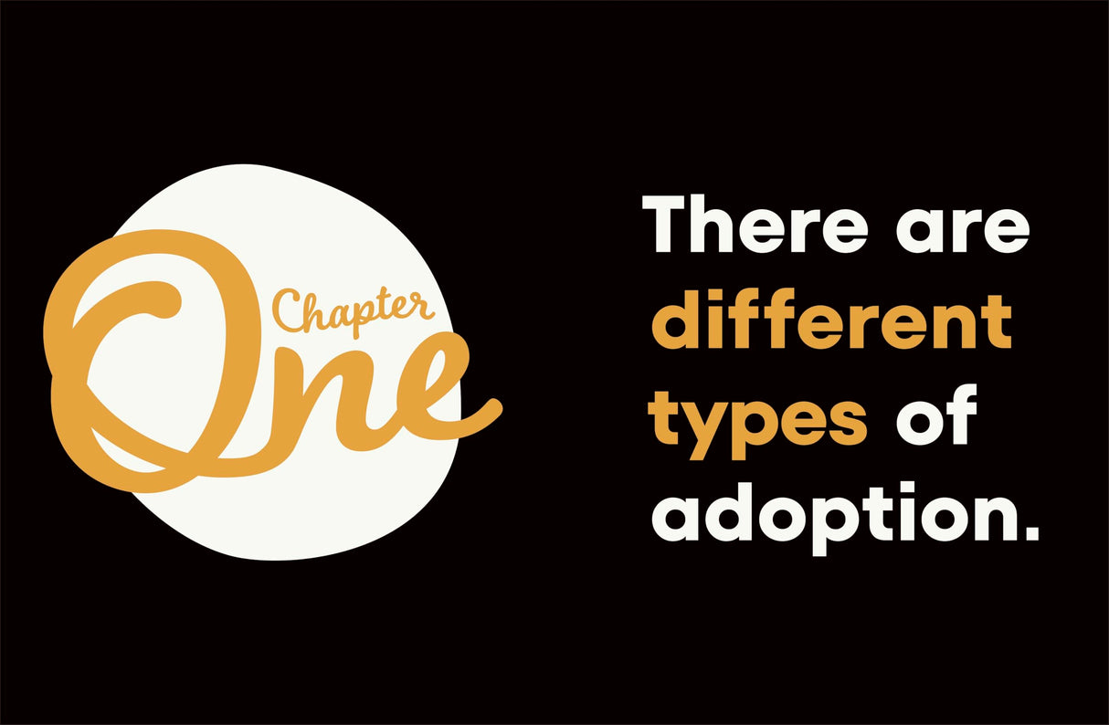 A Kids Book About Adoption - Retail Maharaj