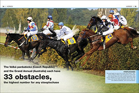 HORSES - Retail Maharaj