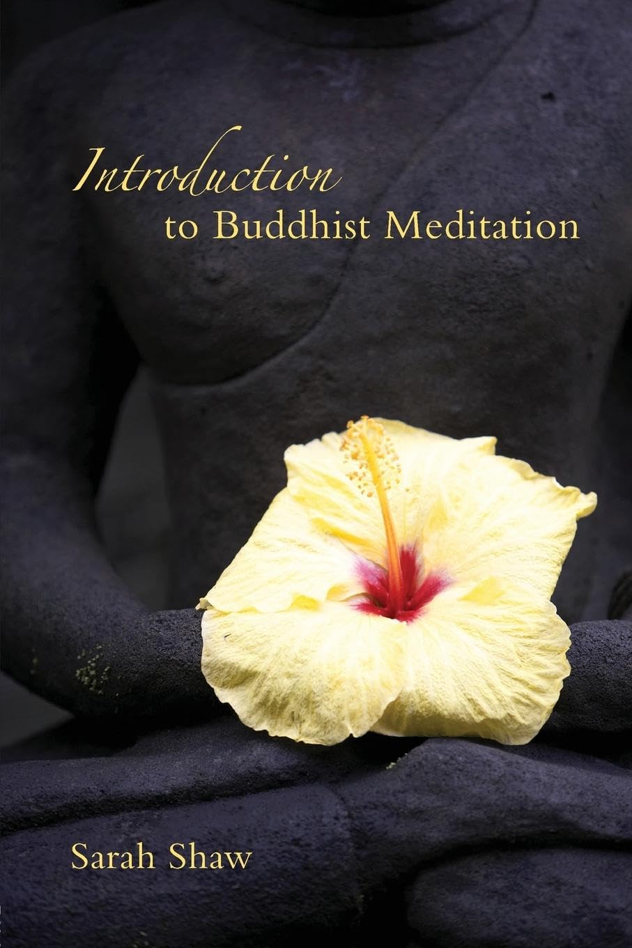 Introduction to Buddhist Meditation - Retail Maharaj