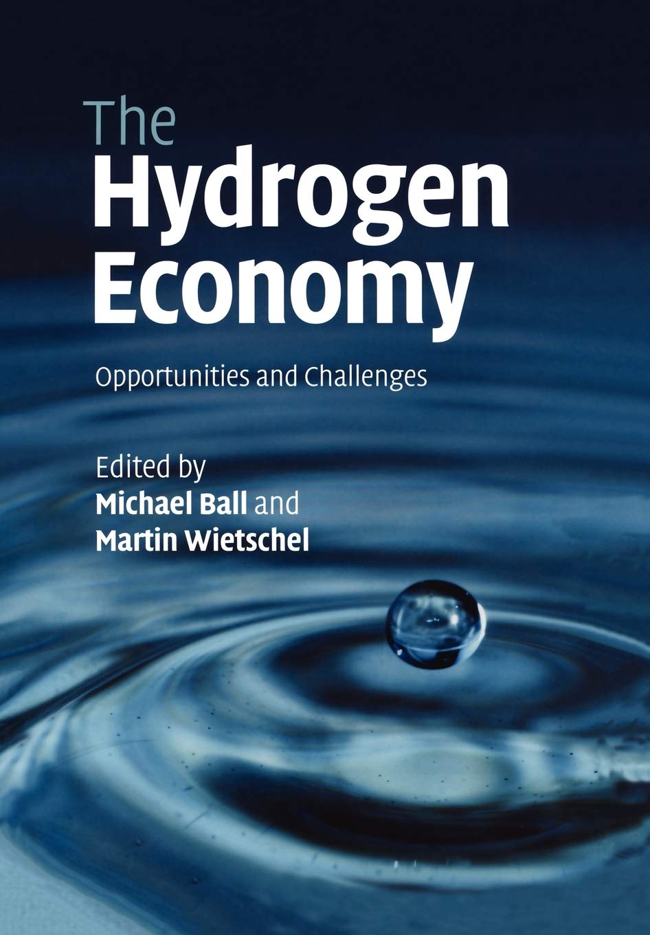 The Hydrogen Economy: Opportunities and Challenges