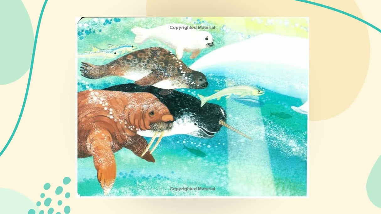 Baby Beluga (Raffi Songs to Read)