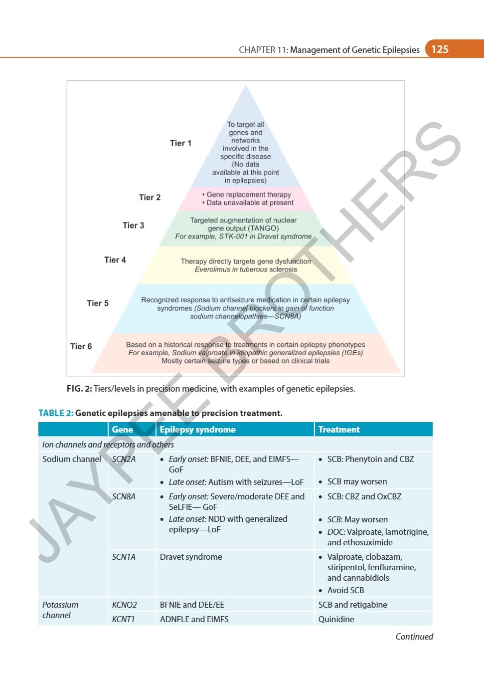 IAN ADVANCES IN EPILEPSY