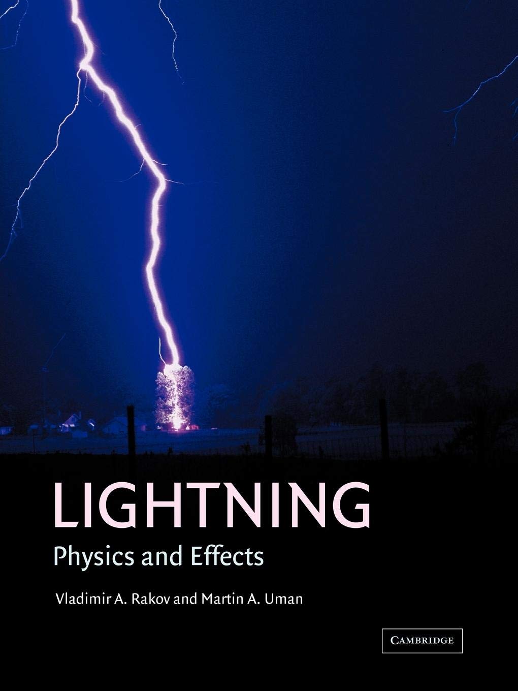 Lightning: Physics and Effects