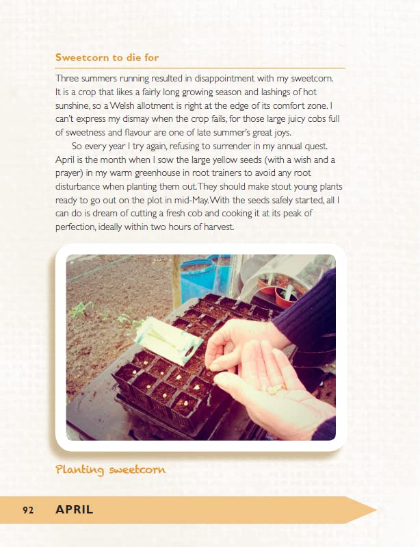 The Allotment Almanac: a month-by-month guide to getting the best from your allotment from much-loved Radio 2 gardener Terry Walton