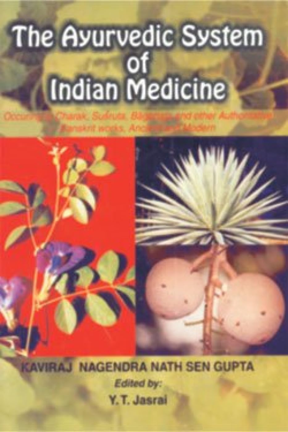 Ayurvedic System of Indian Medicine - Retail Maharaj