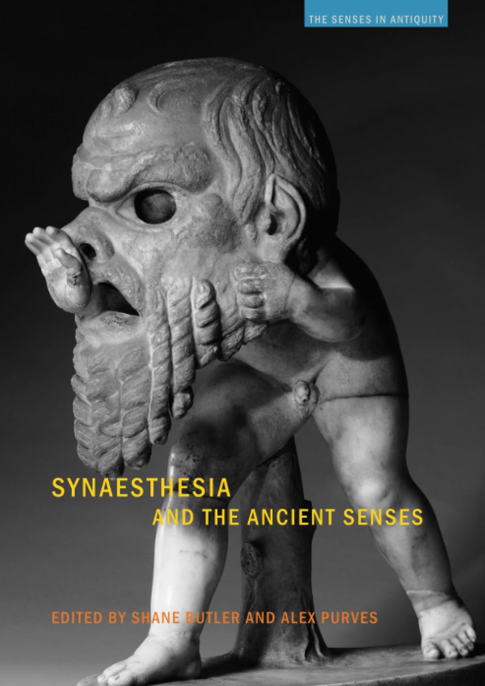 Synaesthesia and the Ancient Senses (The Senses in Antiquity) - Retail Maharaj
