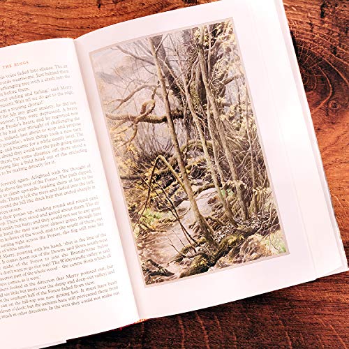 The Fellowship Of The Ring Âillustrated Editionã - Retail Maharaj