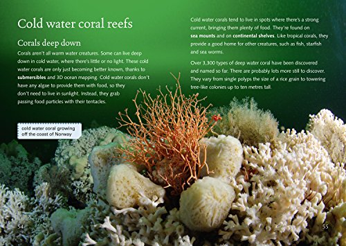Coral Reefs: Band 18/Pearl (Collins Big Cat) - Retail Maharaj
