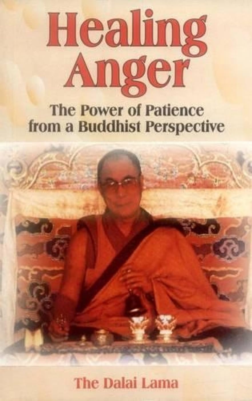 Healing Anger: The Power of Patience from a Buddhist Perspective - Retail Maharaj